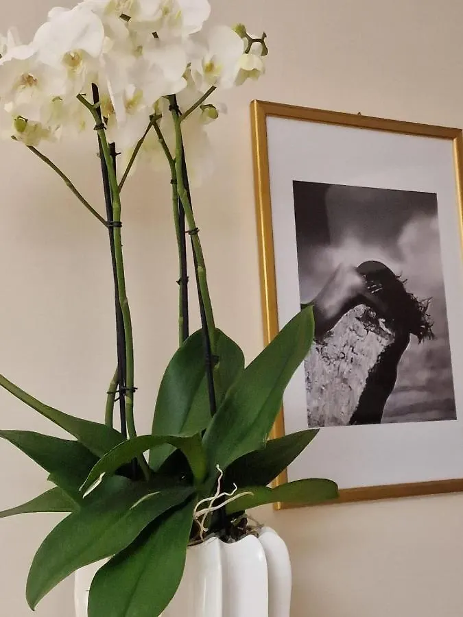 Holiday home Guest House Canalis 17 Oristano Italy